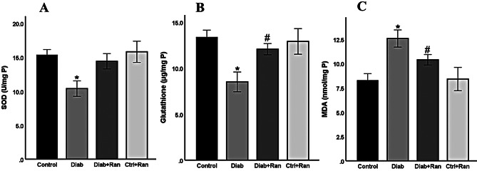Ranolazine as a therapeutic agent for diabetic cardiomyopathy: reducing endoplasmic reticulum stress and inflammation in type 2 diabetic rat model.