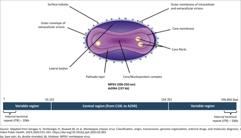 Mpox: An emerging or re-emerging infection with a potential colossal burden on healthcare globally.
