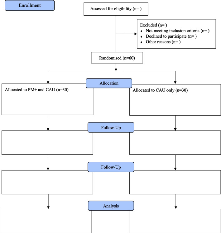 Acceptability and feasibility of Problem Management Plus to address mental health problems among remand prisoners in the Netherlands: a pilot randomised controlled trial protocol.