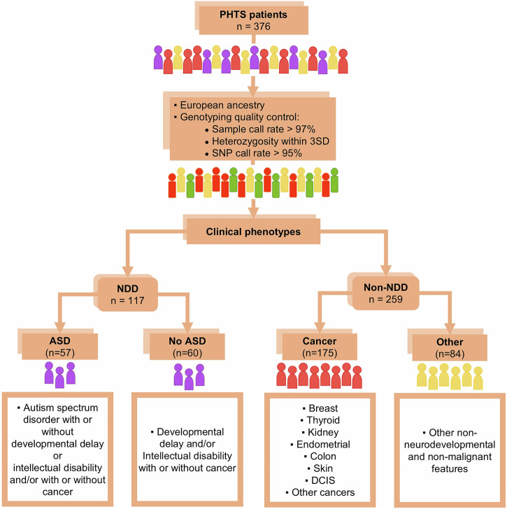 Genomic diversity in functionally relevant genes modifies neurodevelopmental versus neoplastic risks in individuals with germline PTEN variants.