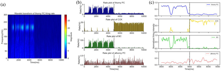 Regulation of sharp wave-ripples by cholecystokinin-expressing interneurons and parvalbumin-expressing basket cells in the hippocampal CA3 region.