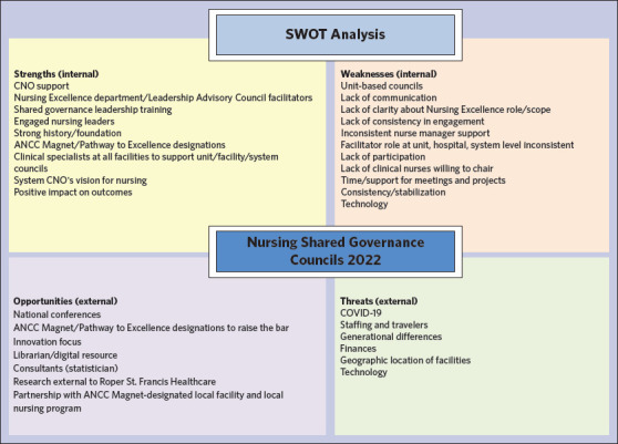 Increasing engagement in professional governance from the unit to system level.