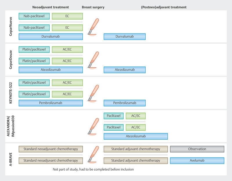 Update Breast Cancer 2024 Part 2 - Patients with Early Stage Breast Cancer.