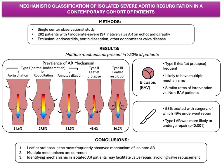 Mechanistic classification of isolated severe aortic regurgitation in a contemporary cohort of patients.