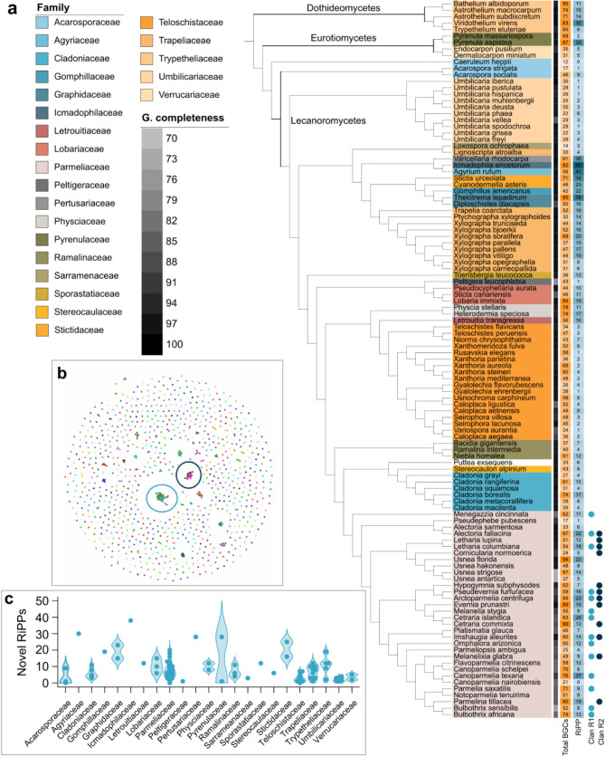 Bioinformatic exploration of RiPP biosynthetic gene clusters in lichens.