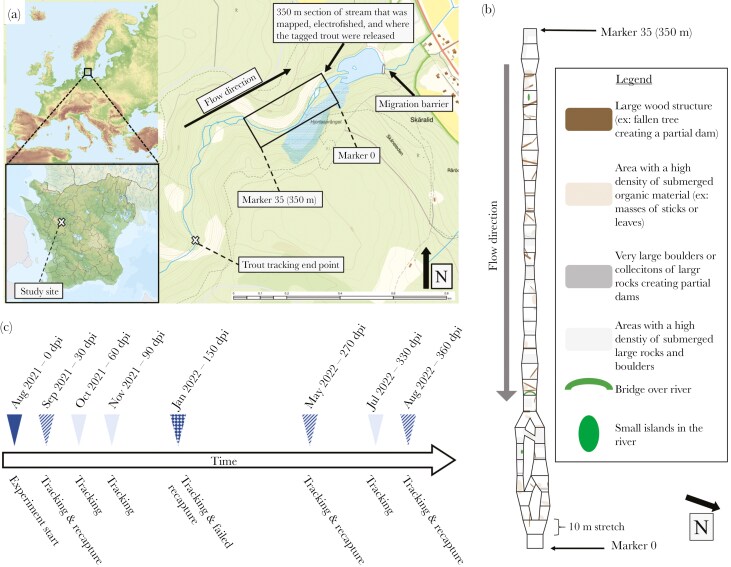 Parasitic mussels induce upstream movement in their fish hosts: early evidence of extended phenotype.