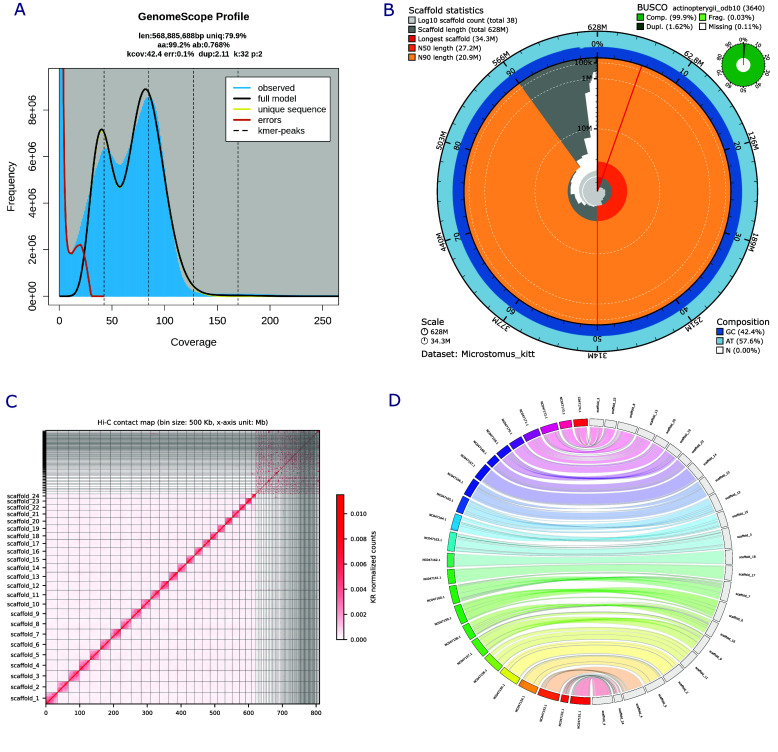 Chromosome-level genome assembly of the lemon sole, <i>Microstomus kitt</i> (Pleuronectiformes: Pleuronectidae).