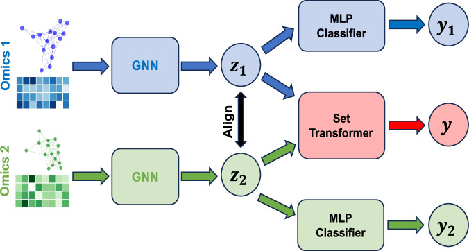 Effective integration of multi-omics with prior knowledge to identify biomarkers via explainable graph neural networks.