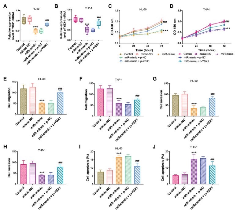miR-379-5p Inhibited the Proliferation of Acute Myeloid Leukemia Cells Through Negative Regulation of <i>YBX1</i>