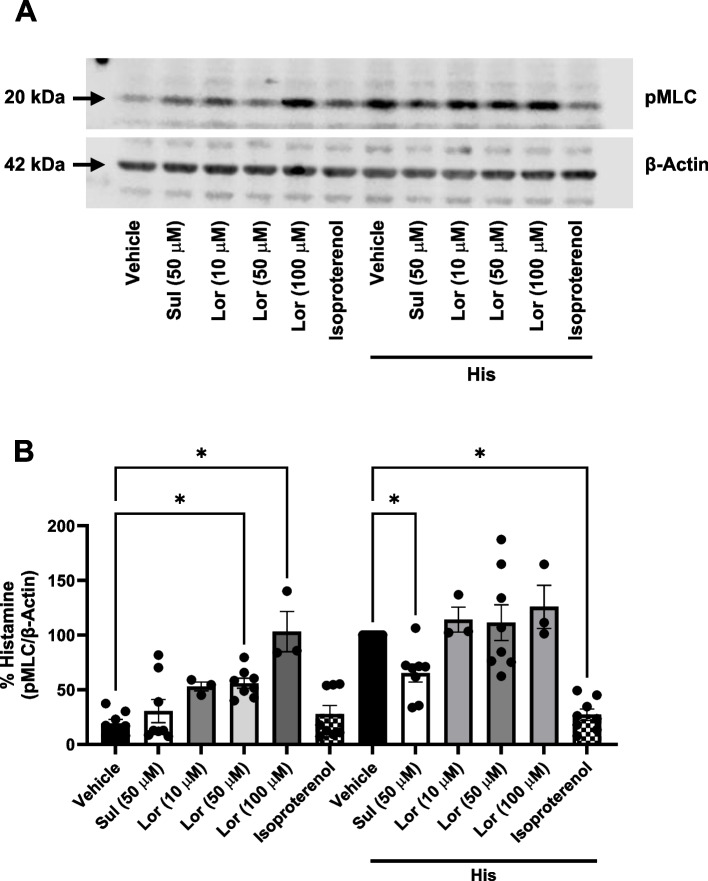 Ovarian Cancer G protein-coupled receptor-1 signaling bias dictates anti-contractile effect of benzodiazepines on airway smooth muscle.