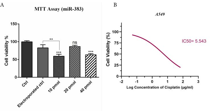 Synergistic Effect of miR-383 and Cisplatin on Inhibition of Growth, Proliferation, and Migration of Lung Cancer Cells.