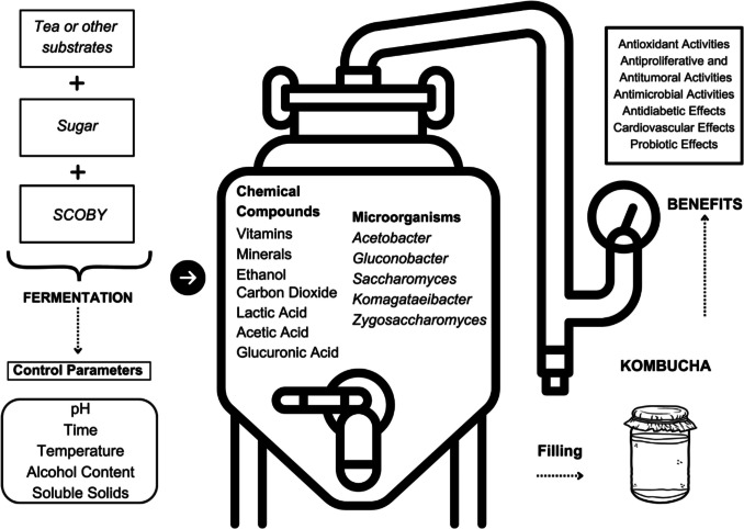 Kombucha Tea: A Functional Beverage and All its Aspects.