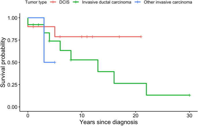The clinicopathological features of breast cancer in Peutz-Jeghers syndrome: results from an international survey.