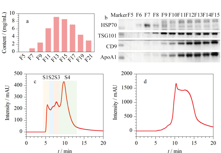 [Isolation and proteomics analysis of cerebrospinal fluid exosome subtypes].