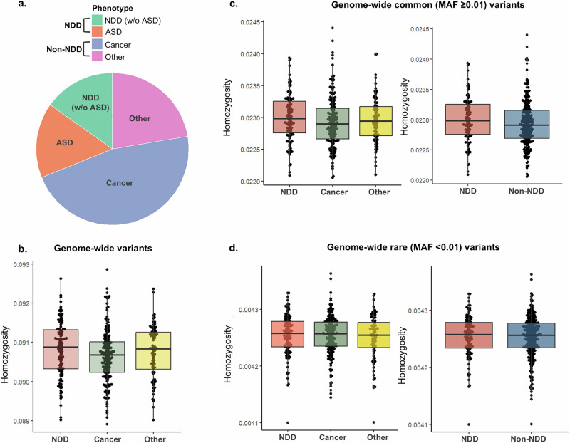 Genomic diversity in functionally relevant genes modifies neurodevelopmental versus neoplastic risks in individuals with germline PTEN variants.