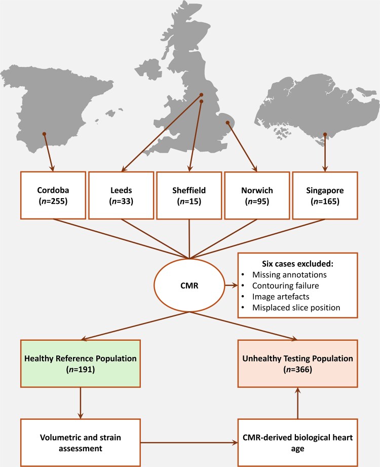 Cardiovascular magnetic resonance imaging markers of ageing: a multi-centre, cross-sectional cohort study.