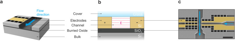 Opportunities of scalable and electrostatically optimized electrodes for electric field- and current-driven microfluidic applications.