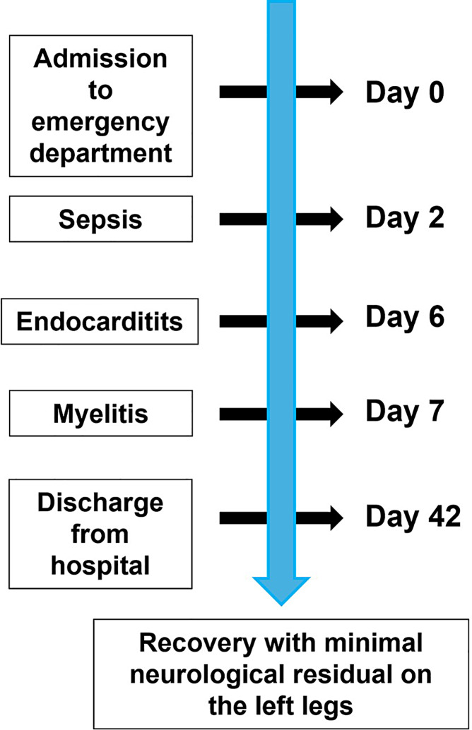 Keratitis, Ichthyosis, and Deafness Syndrome with Endocarditis and Myelitis: A Rare Case Report.