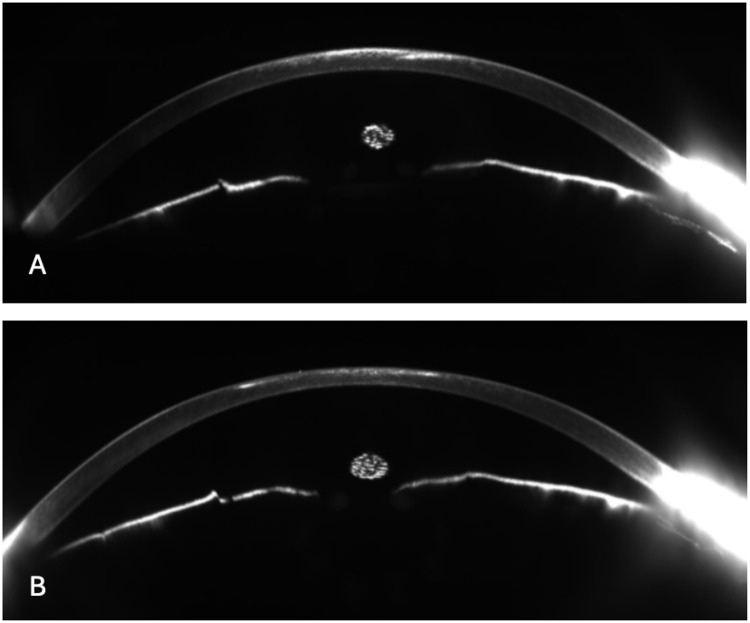 Abstract Image