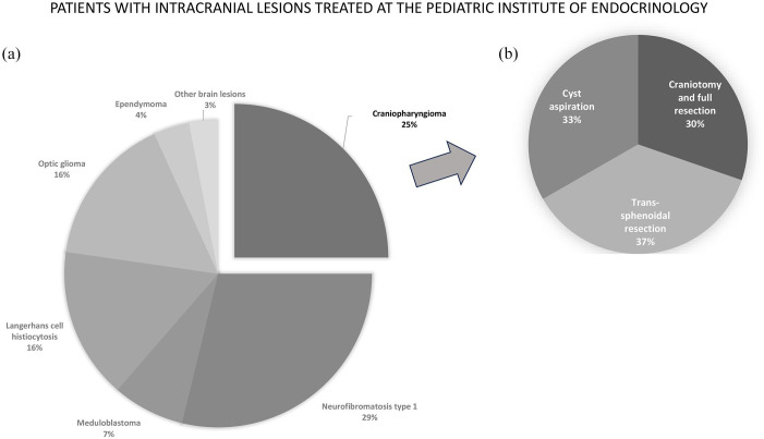 Insights into body composition in pediatric craniopharyngioma patients after surgical treatment.