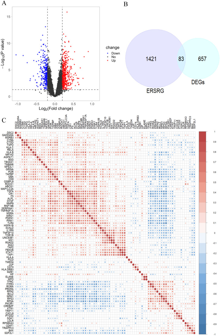 Screening, Analysis, and Validation of Endoplasmic Reticulum Stress-Related DEGs in Epilepsy.