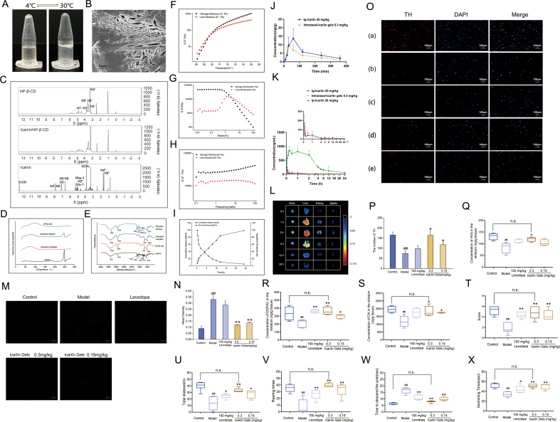 A promising strategy of brain targeted delivery for the treatment of Parkinson's disease: Cyclodextrin supramolecular inclusion complex based thermosensitive gel.