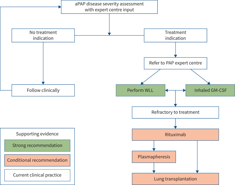Summary for clinicians: ERS guidelines on pulmonary alveolar proteinosis.