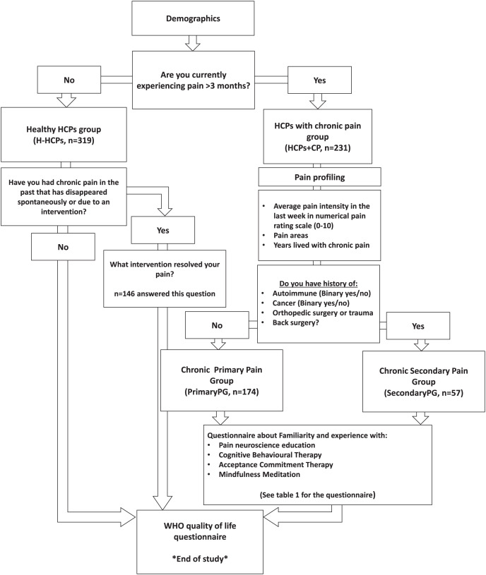 Education about pain and experience with cognitive-based interventions do not reduce healthcare professionals' chronic pain.