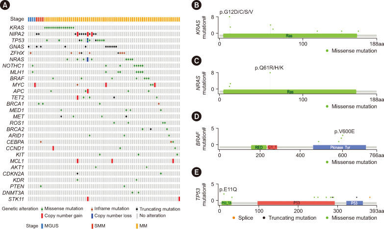 Clinical Implications of Circulating Tumor DNA in Multiple Myeloma and Its Precursor Diseases.