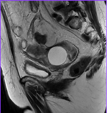 Abstract Image