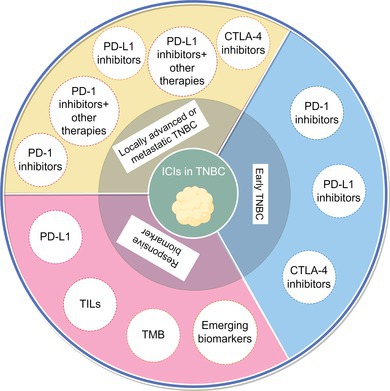Current Status of Immune Checkpoint Inhibitors and Treatment Responsive Biomarkers for Triple-Negative Breast Cancer.