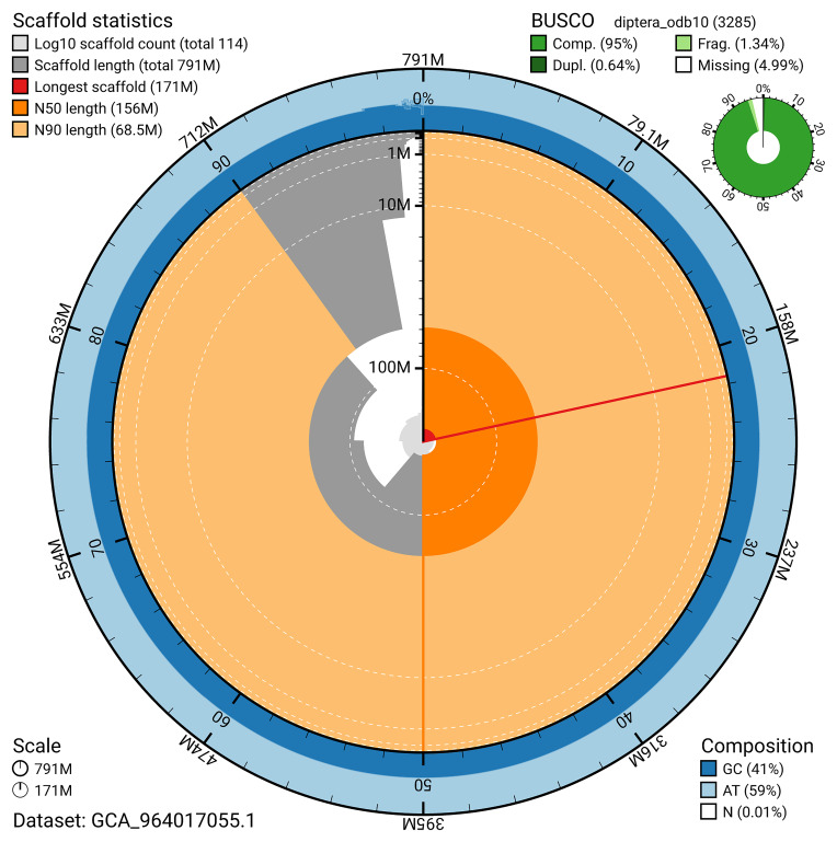 The genome sequence of the Broad Centurion soldierfly, <i>Chloromyia formosa</i> (Scopoli, 1763).
