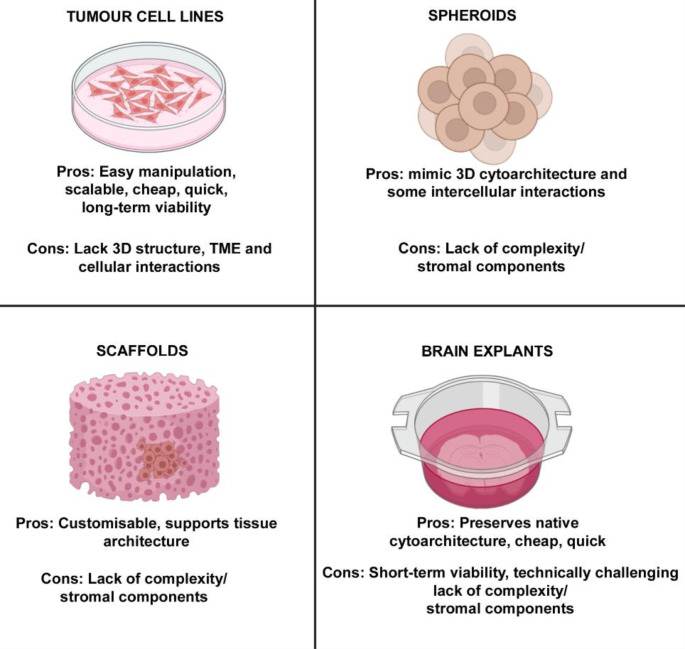 Evolution of Preclinical Models for Glioblastoma Modelling and Drug Screening.