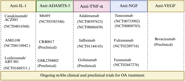 Antibody and aptamer-based therapies for osteoarthritis: Application of antibodies and promise of aptamers.