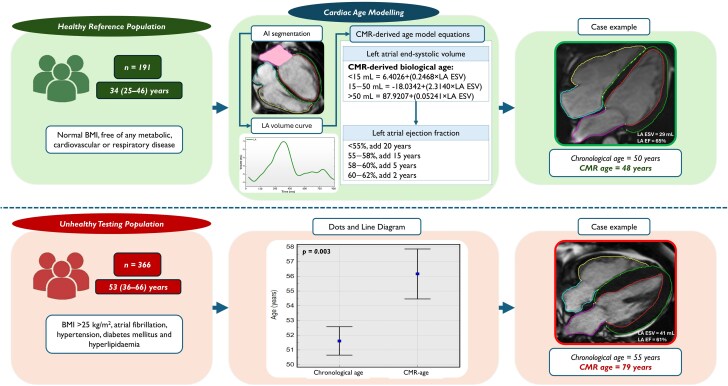 Cardiovascular magnetic resonance imaging markers of ageing: a multi-centre, cross-sectional cohort study.