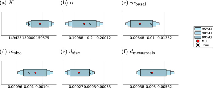 A stochastic modelling framework for cancer patient trajectories: combining tumour growth, metastasis, and survival.