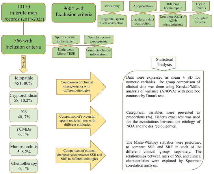 Putative Predictive Value of Etiological and Clinical Factors on Sperm Retrieval Outcomes in Non-Obstructive Azoospermia Using Micro-TESE: A Retrospective Study.
