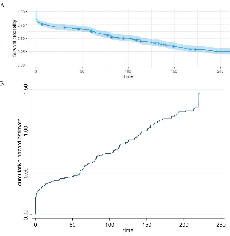 Machine Learning Predictive Models for Survival in Patients with Brain Stroke.