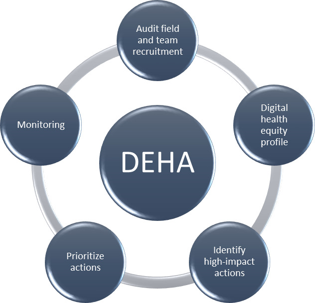 The Role of Digital Health Equity Audits in Preventing Harmful Infodemiology.