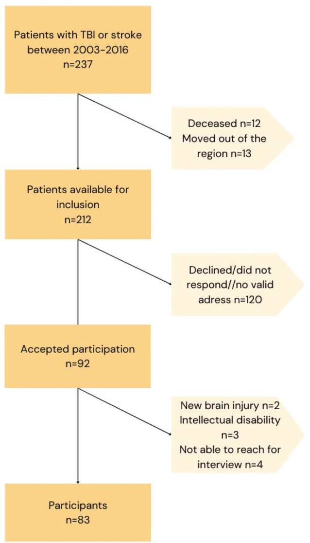 Cognitive reserve and disparities in healthcare usage after traumatic brain injury and stroke: an observational cohort study.