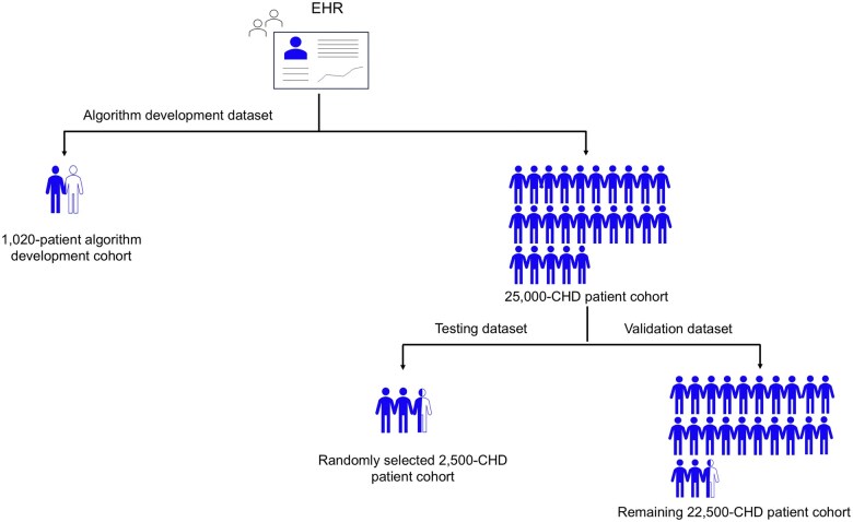 A phenotyping algorithm for classification of single ventricle physiology using electronic health records.