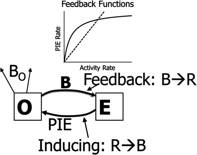 Explaining Performance on Interval and Ratio Schedules with a Molar View of Behavior.