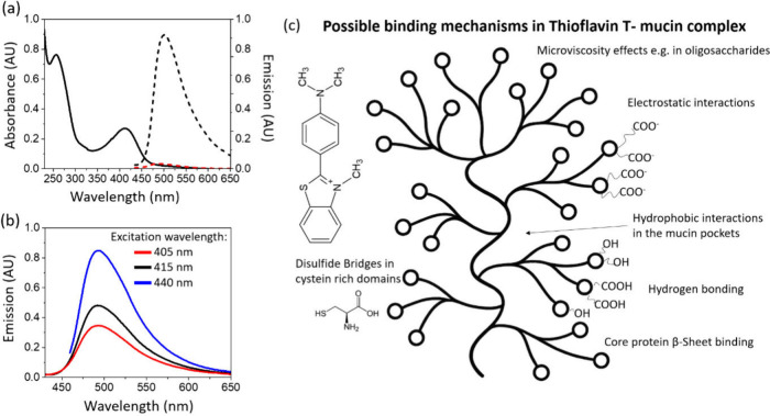 Thioflavin T Lasing Probe for Mucin Detection in Simulated Tears as a Targeting Strategy for Brain Tumors