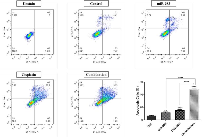 Synergistic Effect of miR-383 and Cisplatin on Inhibition of Growth, Proliferation, and Migration of Lung Cancer Cells.