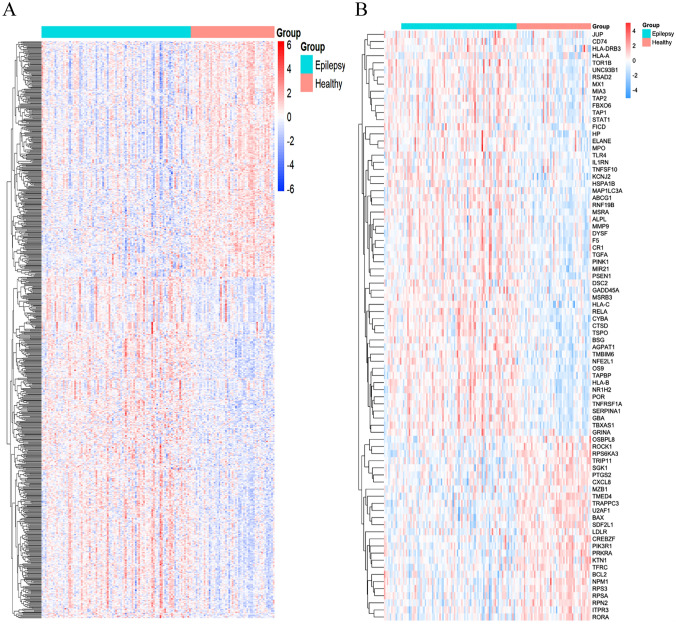 Screening, Analysis, and Validation of Endoplasmic Reticulum Stress-Related DEGs in Epilepsy.