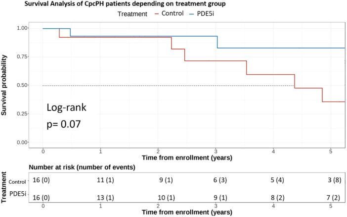 Prognosis and Treatment With Phosphodiesterase 5 Inhibitors in Combined Post- and Precapillary Pulmonary Hypertension: A Propensity Score-Matched Analysis From the Hellenic Pulmonary Hypertension Registry.