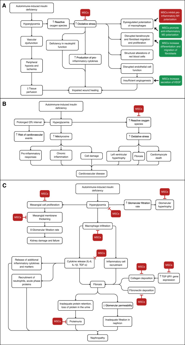 New frontiers in type I diabetes treatment: the impact of mesenchymal stromal cells on long-term complications.