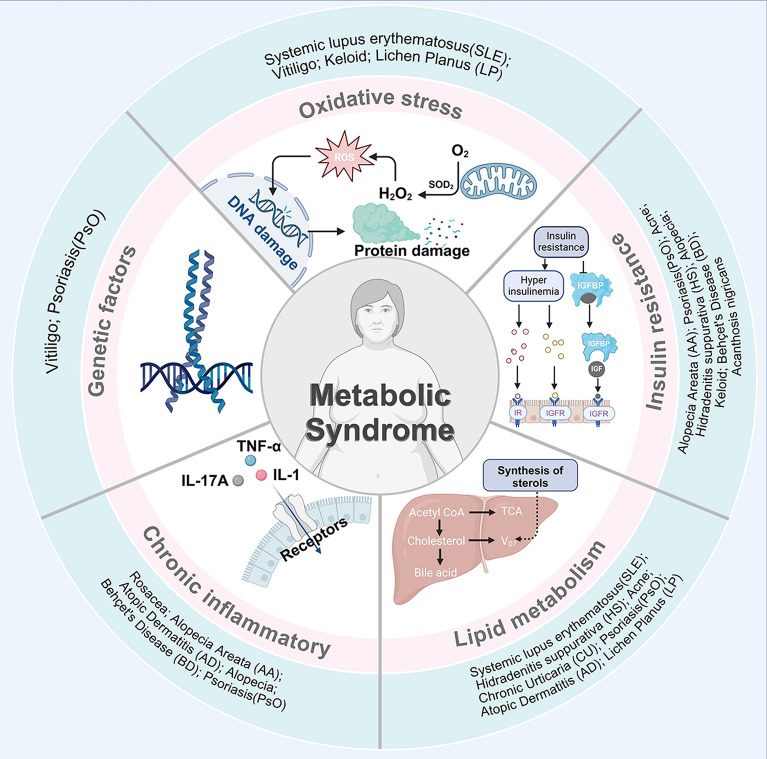Metabolic syndrome and dermatological diseases: association and treatment.