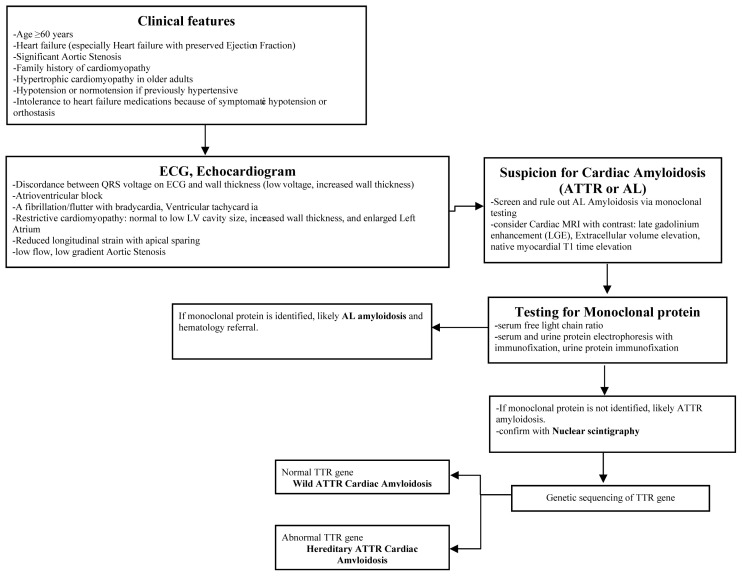 Wild-type Cardiac Amyloidosis due to Transthyretin Protein - A Review.
