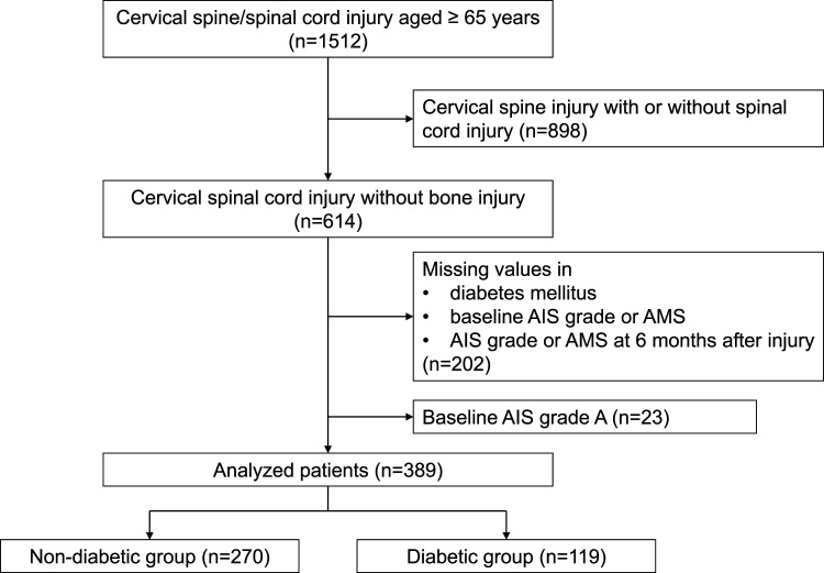 Influence of Diabetes Mellitus on Neurological Recovery in Older Patients With Cervical Spinal Cord Injury Without Bone Injury: A Retrospective Multicenter Study.